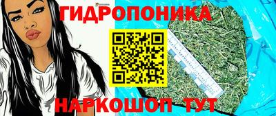 mdma Новозыбков